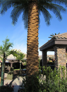 Outdoor Artificial Palm Trees Large Tall Dactylifera Phoenix Realistic